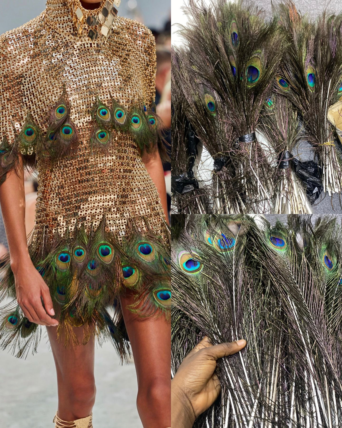 PEACOCK SINGLE FEATHERS