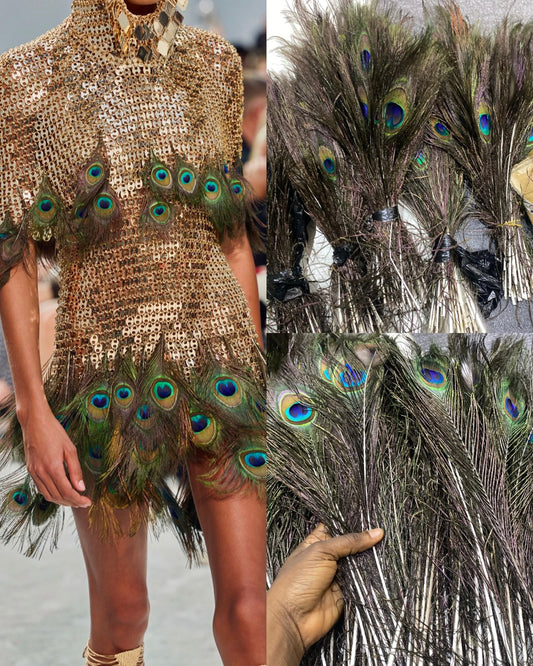 PEACOCK SINGLE FEATHERS