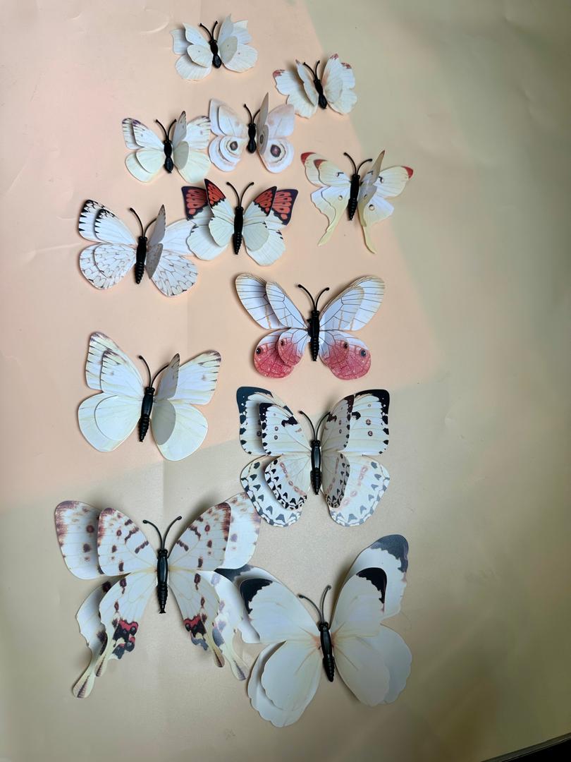 DOUBLE 3D MAGIC BUTTERFLY