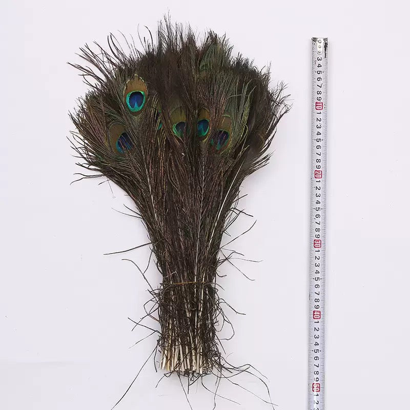 PEACOCK SINGLE FEATHERS